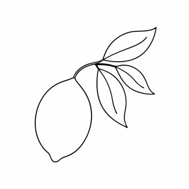 Limon ve meyve sembolünün vektör çizimi. limon ve yeşil hisse senedi temsili koleksiyonu.