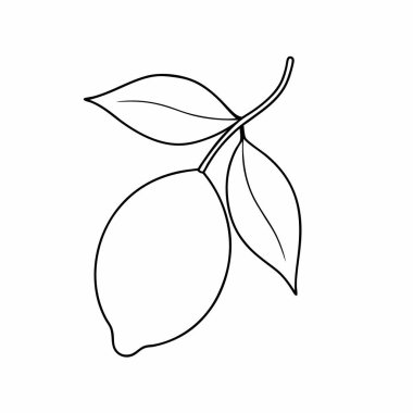 vektör el çizilmiş yaprak illüstrasyonu