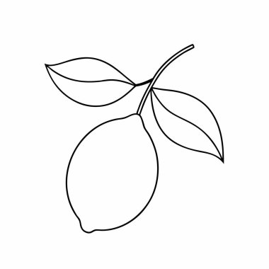 Yapraklı taze mango meyvesi