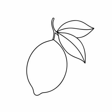 Bir mango meyvesinin vektör çizimi.