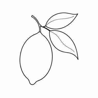 Mango meyve simge vektör illüstrasyon izole