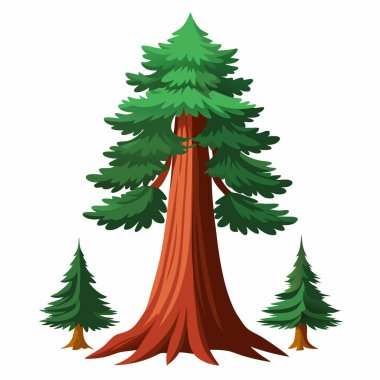 Ormandaki çam ağacı