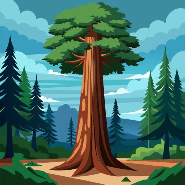 Yerdeki çam ağaçları çizimleri