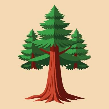Çam ağaçları orman simgesi
