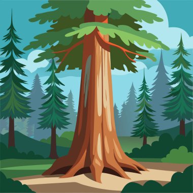 Büyük ağaçlı orman