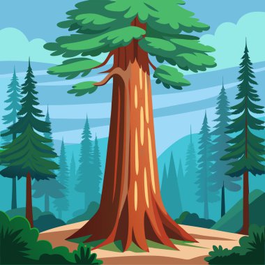 Ağaçlı ve çam ağaçlı orman