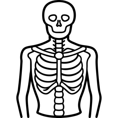 İnsan göğsü anatomisi ana hatları simgesi, özet biçimi