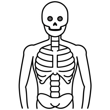 İnsan iskeleti anatomisi simgesi