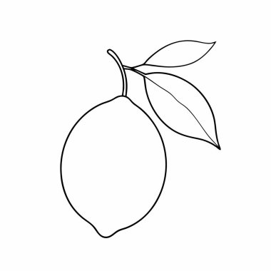 mango meyvesi taze karikatür vektör çizimi grafik tasarımı