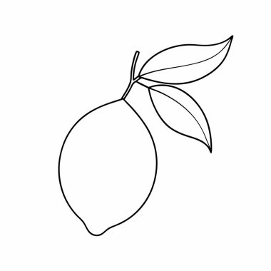 mango taze meyve vektör illüstrasyon tasarımı