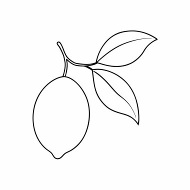 Mango ve tropikal ikonun vektör çizimi. Web için mango ve meyve sembolü koleksiyonu.