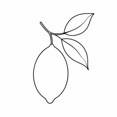 mango meyvesi taze izole edilmiş simge