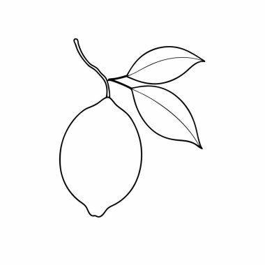 Yapraklı mango meyvesi