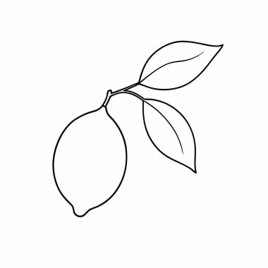 Mangonun vektör çizimi