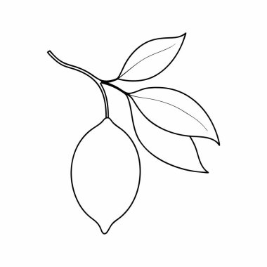 şube ile simge yapraklar