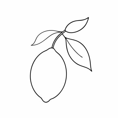 Beyaz arka planda vektör çizimi. el çizimi.