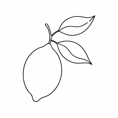 mango taze meyve çizgisi tarzı