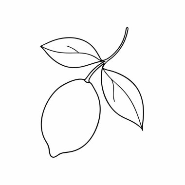 Elle çizilmiş bir limon, bir ağaç yaprağı, bir limon dalı. Beyaz üzerinde izole bir illüstrasyon.