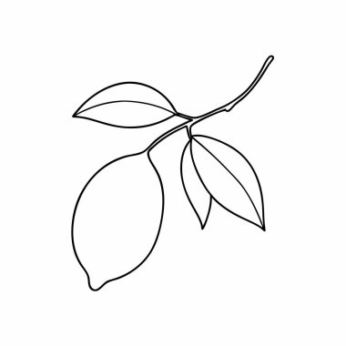 Yaprak ve çiçek logosunun vektör tasarımı. ağ için yaprak ve yeşil stok sembolü koleksiyonu.