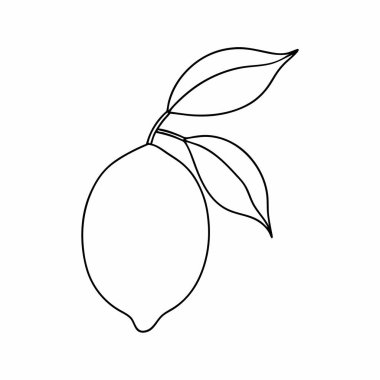 Beyaz arkaplan üzerinde yaprak simgesi olan taze limon, vektör illüstrasyonu