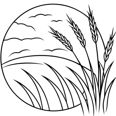 izole buğday kulakları vektör çizimi