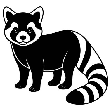 Rakun Hayvanı çizgi filmi