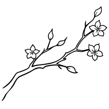 Yaprak yapraklı dallar.