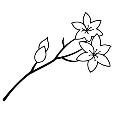 simge ile çiçek yaprakları