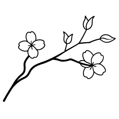 Yaprak yapraklı dallar.