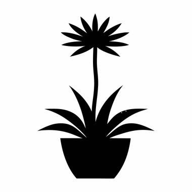 kaktüs bitki izole simgesi