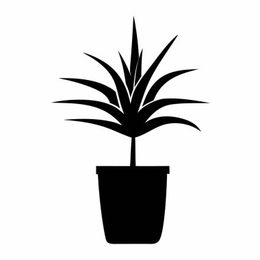 bir bitkinin siyah silueti.