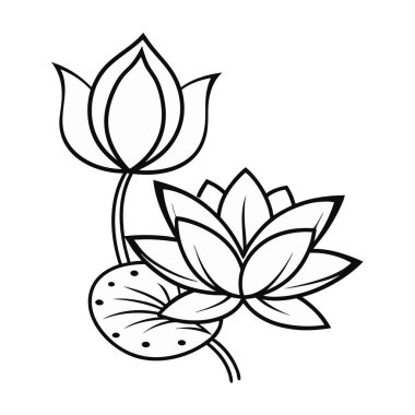 Lotus çiçeği ve yaprağı