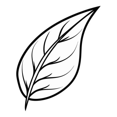 Yaprak simgesi, vektör illüstrasyonu