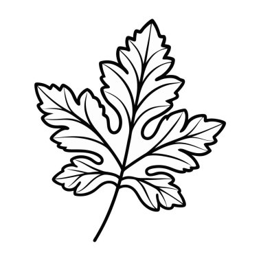 El çizimi yaprak ikonu. vektör illüstrasyonu