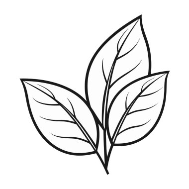 Yaprak bitkisi yaprak yaprağı simgesi