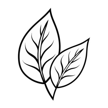 Yaprak ekolojisi doğa simgesi