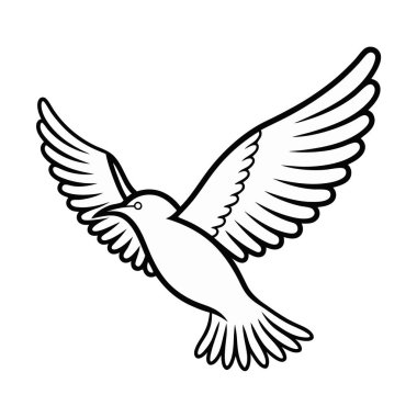 Güvercin kuşu beyaz üzerine izole edilmiş