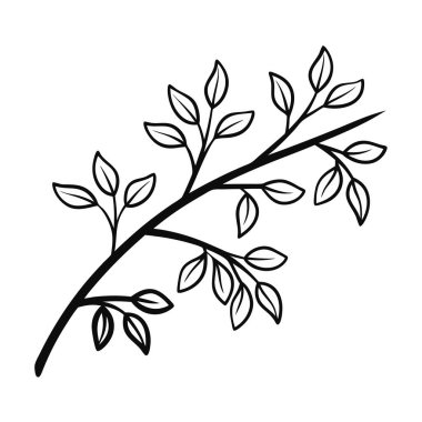 izole edilmiş dal yaprakları tasarımı