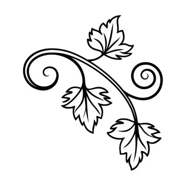 Elle çizilmiş çiçek süsü. vektör illüstrasyonu