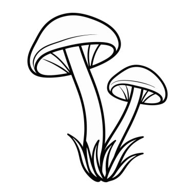 Siyah ve beyaz mantarın vektör çizimi.