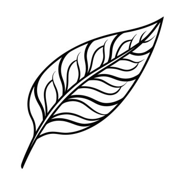 Yaprak ikonu tasarımı, doğa bahçesi süsü bahar ve mevsim temalı illüstrasyon