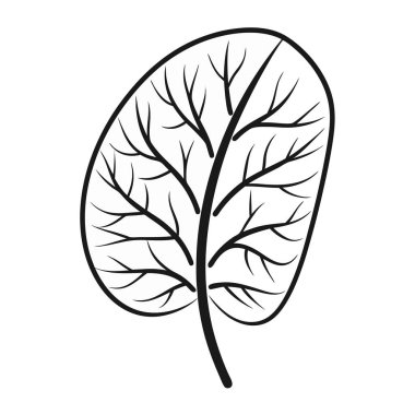 yaprak doğa izole simgesi