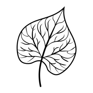 El çizimi yaprak, vektör