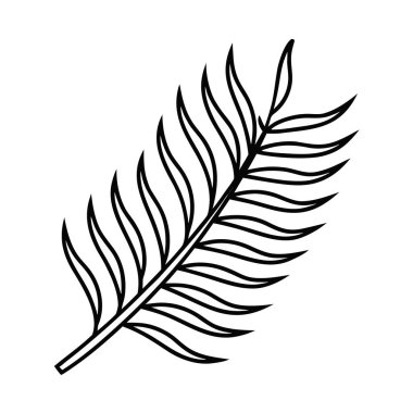 Vektör el çizimi tüy çizimi. siyah ve beyaz mürekkep çizimi