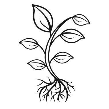 izole bitki yaprakları vektör tasarımı