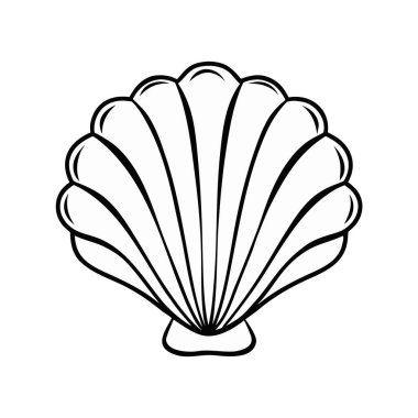 deniz kabuğu beyaz arkaplan vektör illüstrasyon tasarımı üzerinde izole