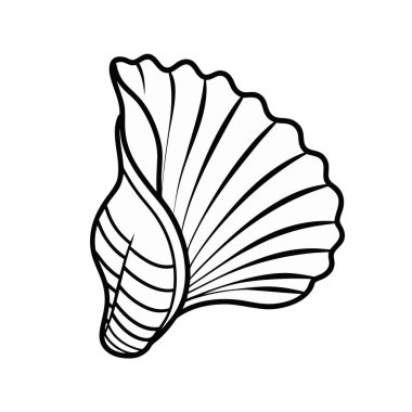 deniz kabuğu izole edilmiş ikon vektör çizimi tasarımı