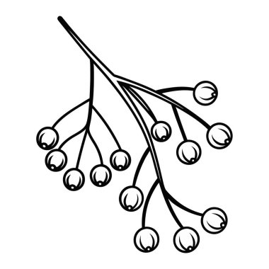 böğürtlenli dallar, siyah çizgi vektör çizimi tasarımı