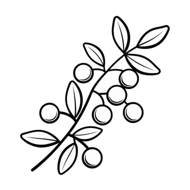 Yapraklı ayrık simge