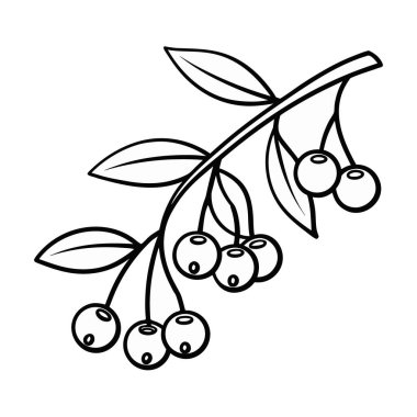 Elle çizilmiş kiraz Şubesi